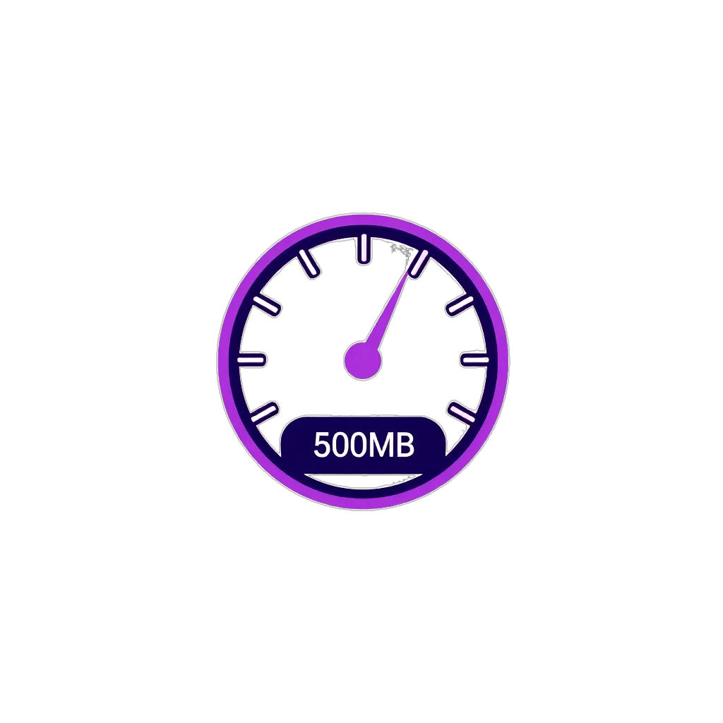 Icon of a speedometer representing the 500MB speed plan